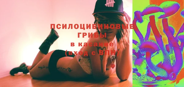 гидра Михайлов
