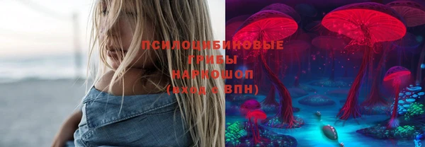 гидра Михайлов