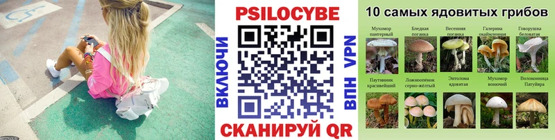 хочу наркоту  Холмск  Псилоцибиновые грибы MAGIC MUSHROOMS 