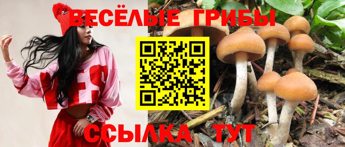 Холмск  Псилоцибиновые грибы GOLDEN TEACHER  Вход с VPN 